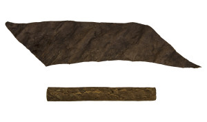Mexican San Andres Leaf